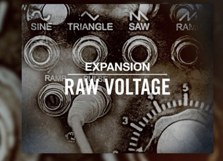 Native Instruments Raw Voltage Maschine Expansion